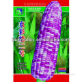 High Yield High Disease Resistant Excellent Quality Hybrid Purple Corn Seed For Field Planting